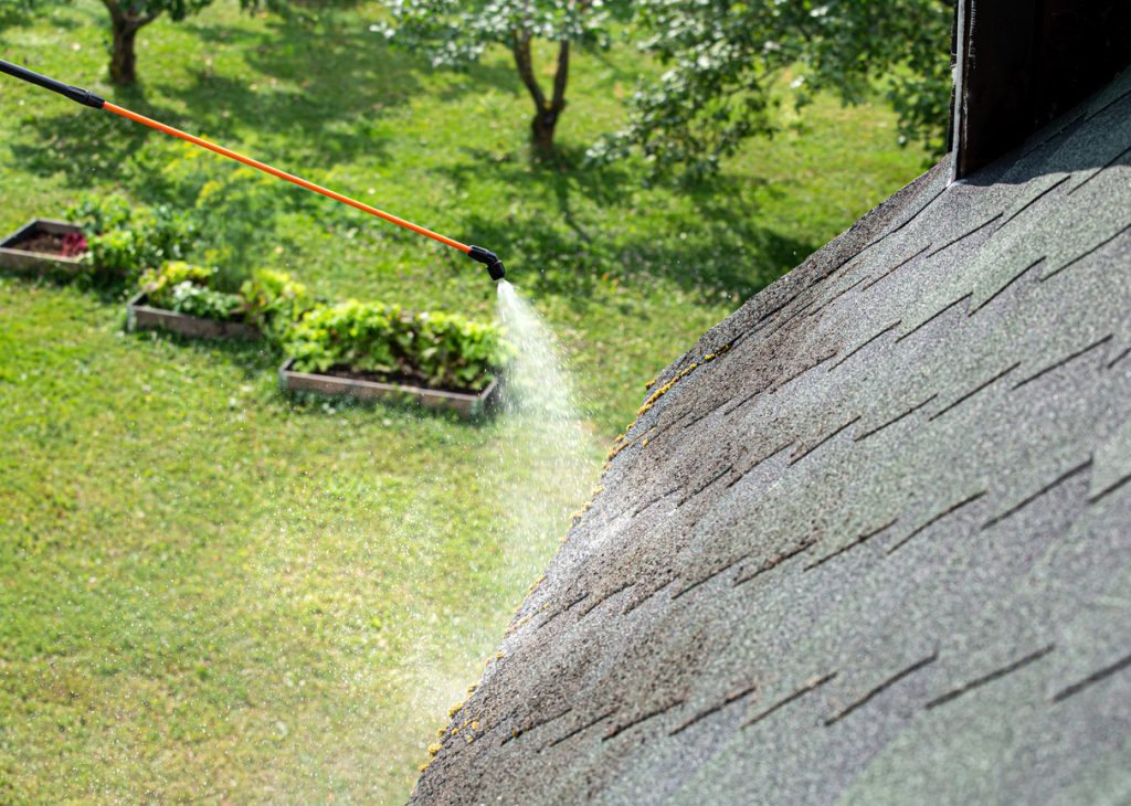 Asphalt Shingle Roof Cleaning